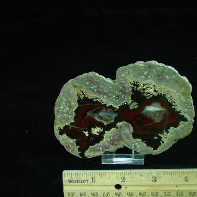 Thunderegg