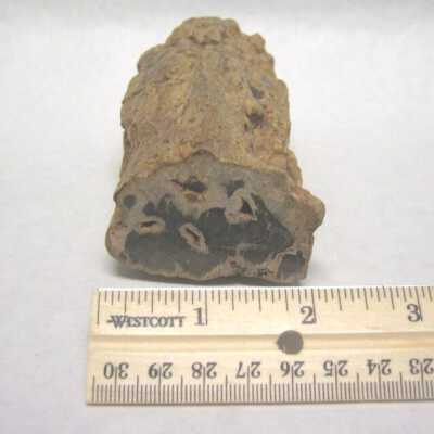 Limb Cast