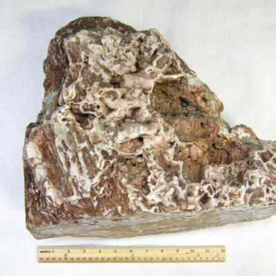 Limb Cast