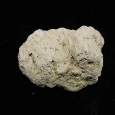 Pumice