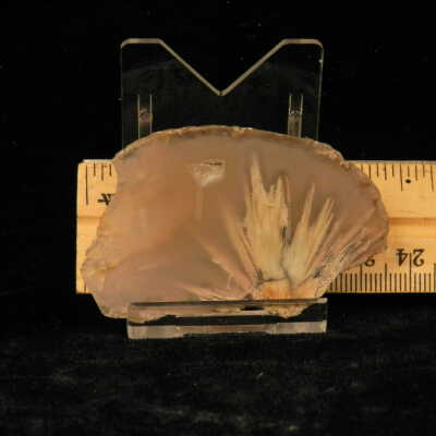 Quartz var. Agate (sagenite)
