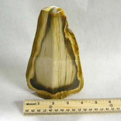 Petrified Wood