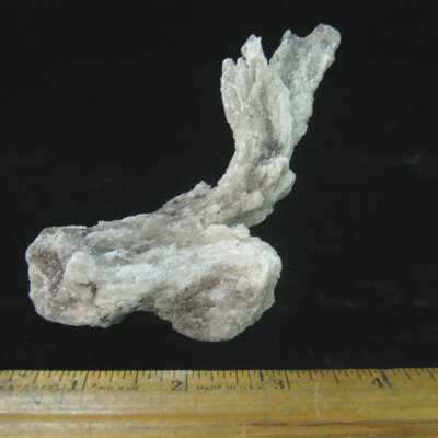 Rams Horn Selenite