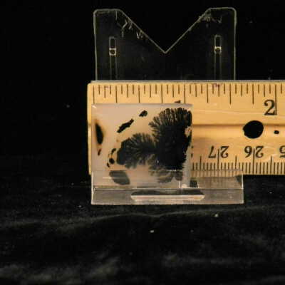 Dendritic Agate