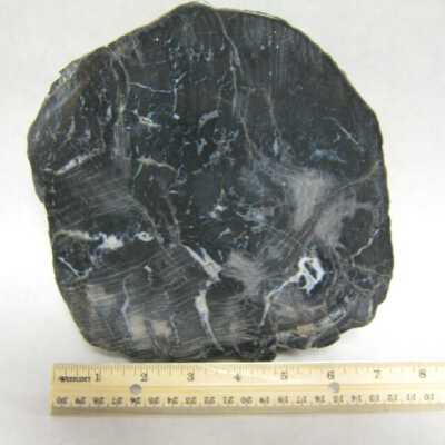 Limb Cast
