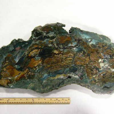 Petrified Wood