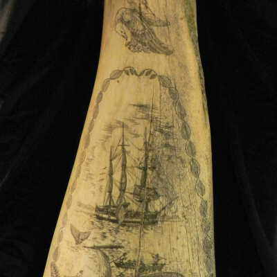 Scrimshaw