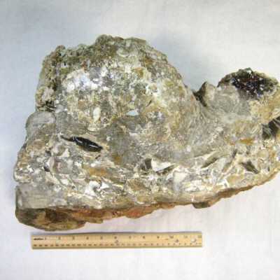 Limb Cast