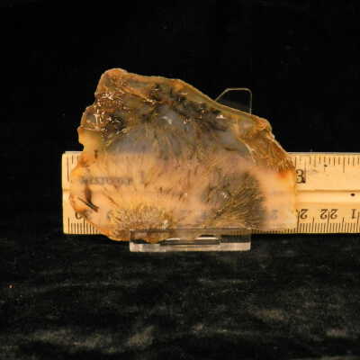 Quartz var. Agate (sagenite)