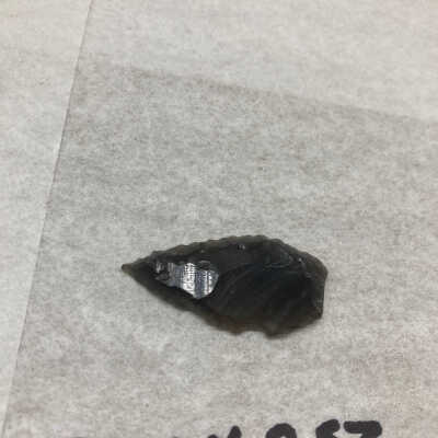 Projectile Point