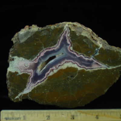 Thunderegg