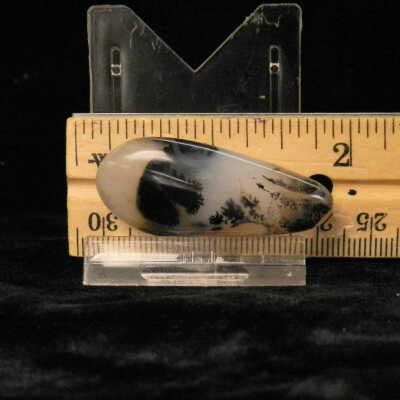 Dendritic Agate