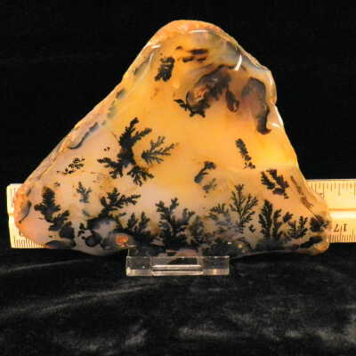 Dendritic Agate