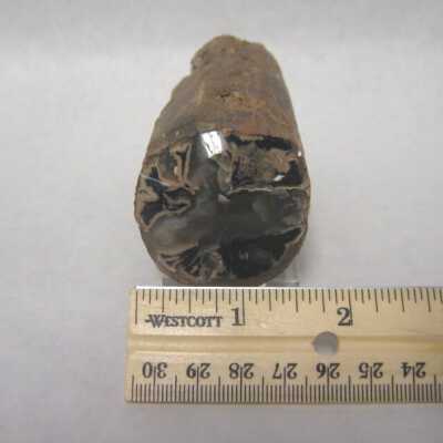 Limb Cast