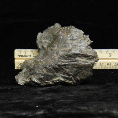 Meteorite
