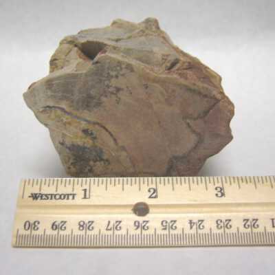 Limb Cast