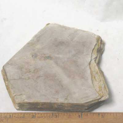 Muscovite