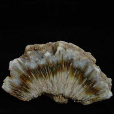 Quartz var. Agate