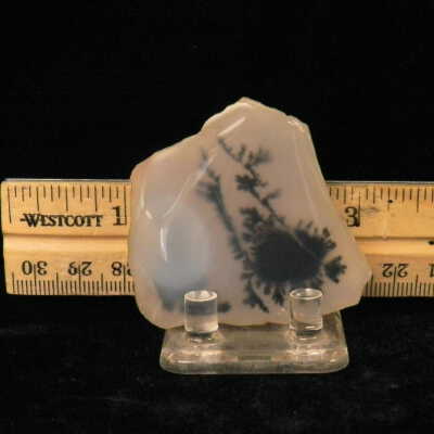 Dendritic Agate