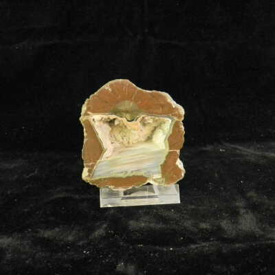 Thunderegg