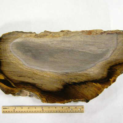 Oak