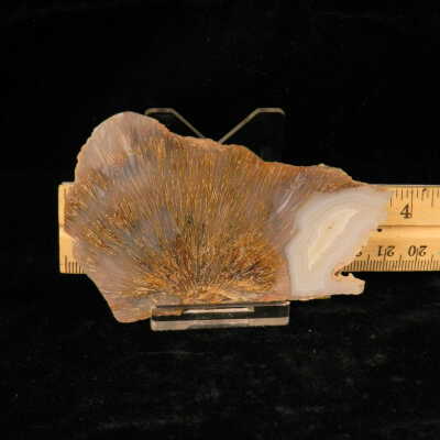 Quartz var. Agate (sagenite)