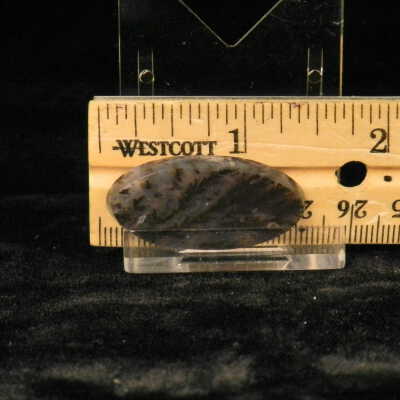 Plume Agate