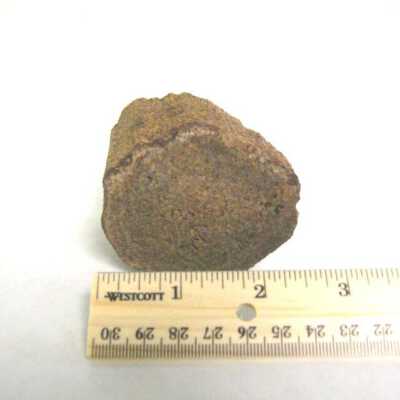 Limb Cast