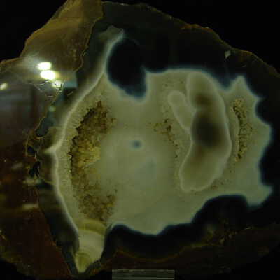 Thunderegg