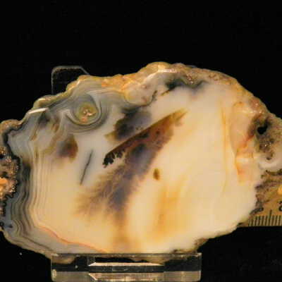 Dendritic Agate