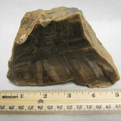 Sequoia