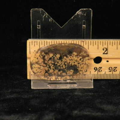 Plume Agate