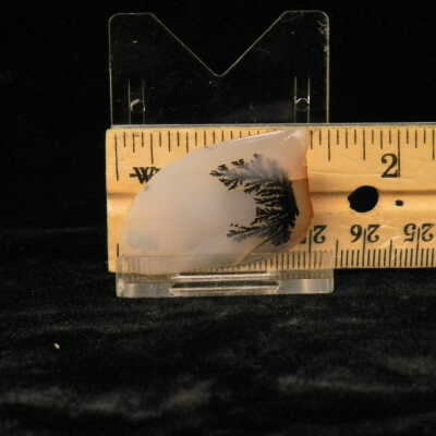 Dendritic Agate