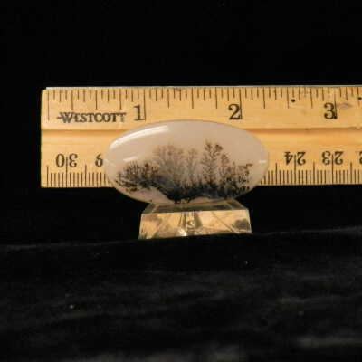 Dendritic Agate
