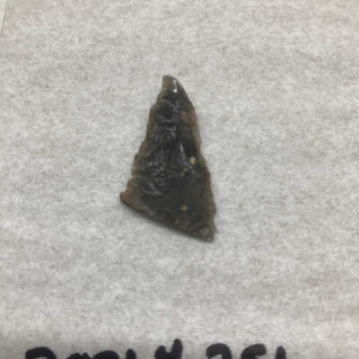 Projectile Point Fragment Distal