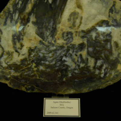 Agate (Medfordite)