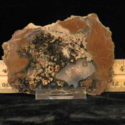 Plume Agate