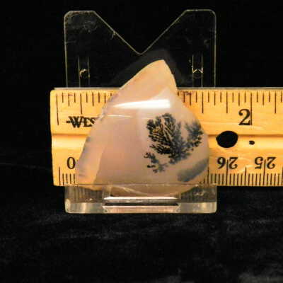 Dendritic Agate