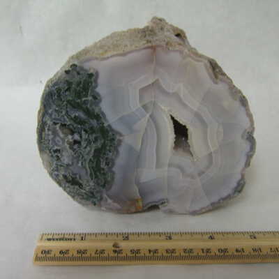 Limb Cast