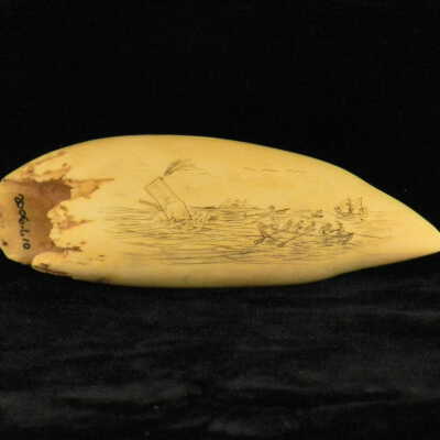 Scrimshaw