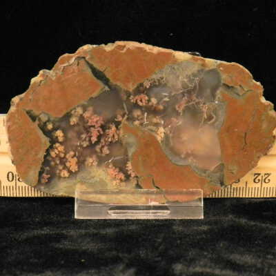 Plume Agate