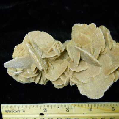 Gypsum  Var. "Desert Rose"