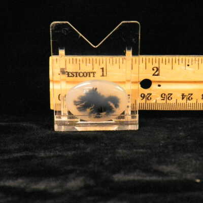 Dendritic Agate