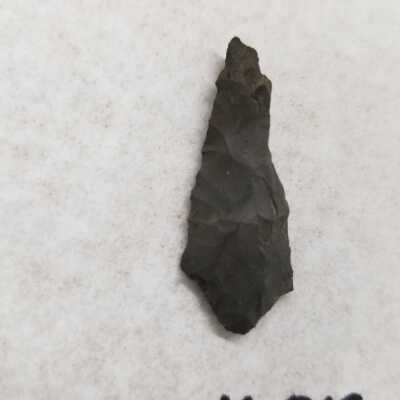 Projectile Point Fragment
