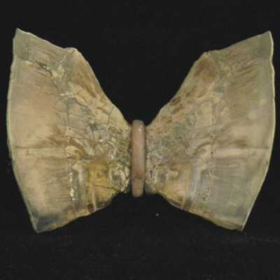 Petrified Wood Butterfly