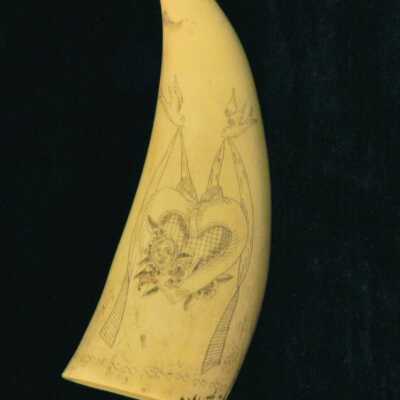 Scrimshaw