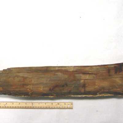 Limb Cast