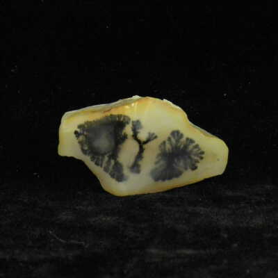 Quartz var. Agate