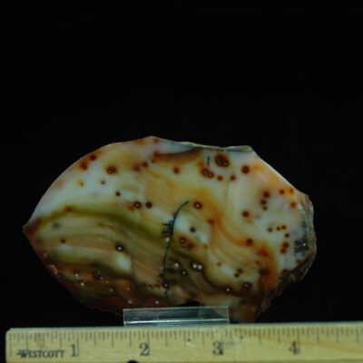 Polka Dot Agate