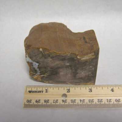 Limb Cast